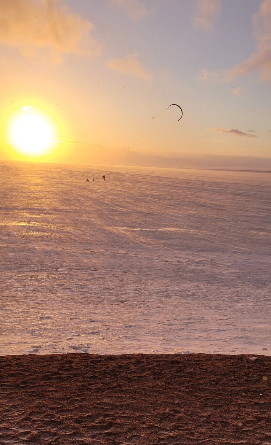 Photo #8499139