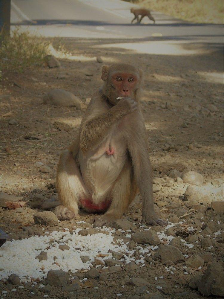 Photograph by Chitransh Agrawal