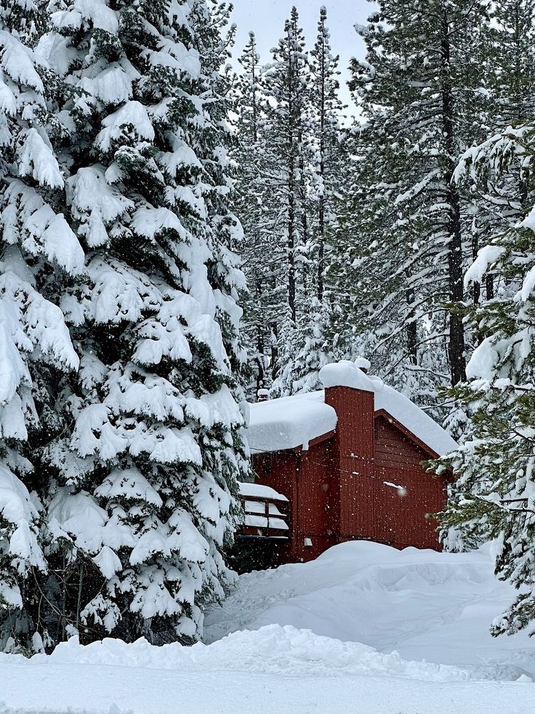 Фотография автора Evgenia