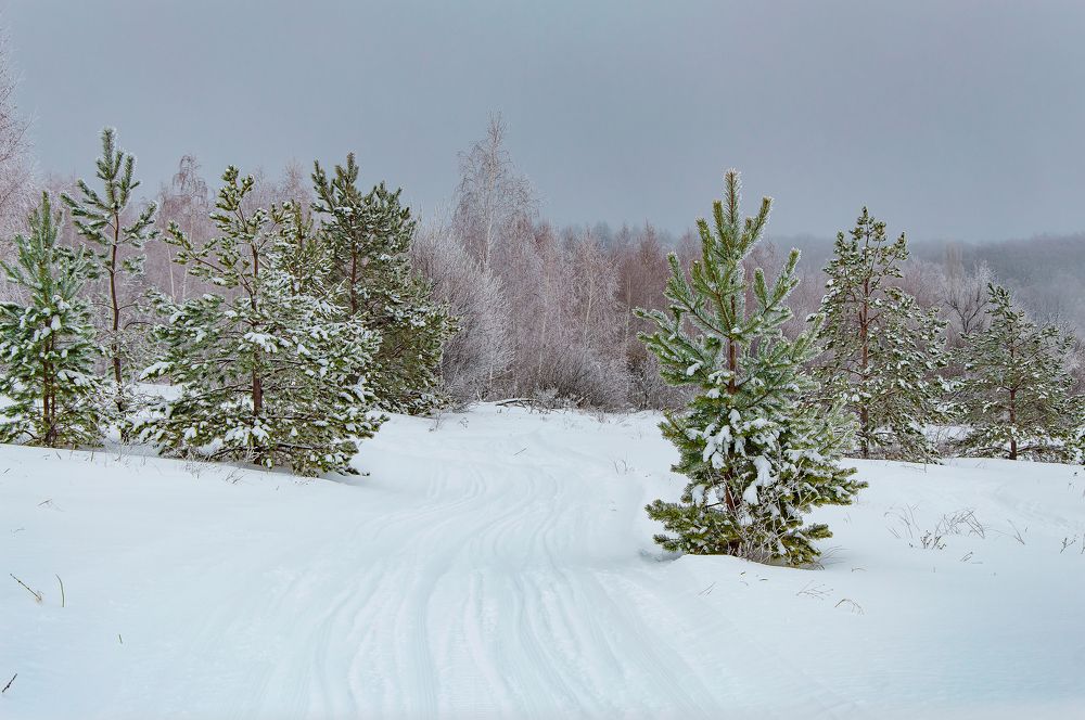 Photograph by Олег Ерпылёв