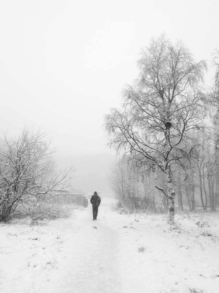 Photograph by Евгения Немчнова