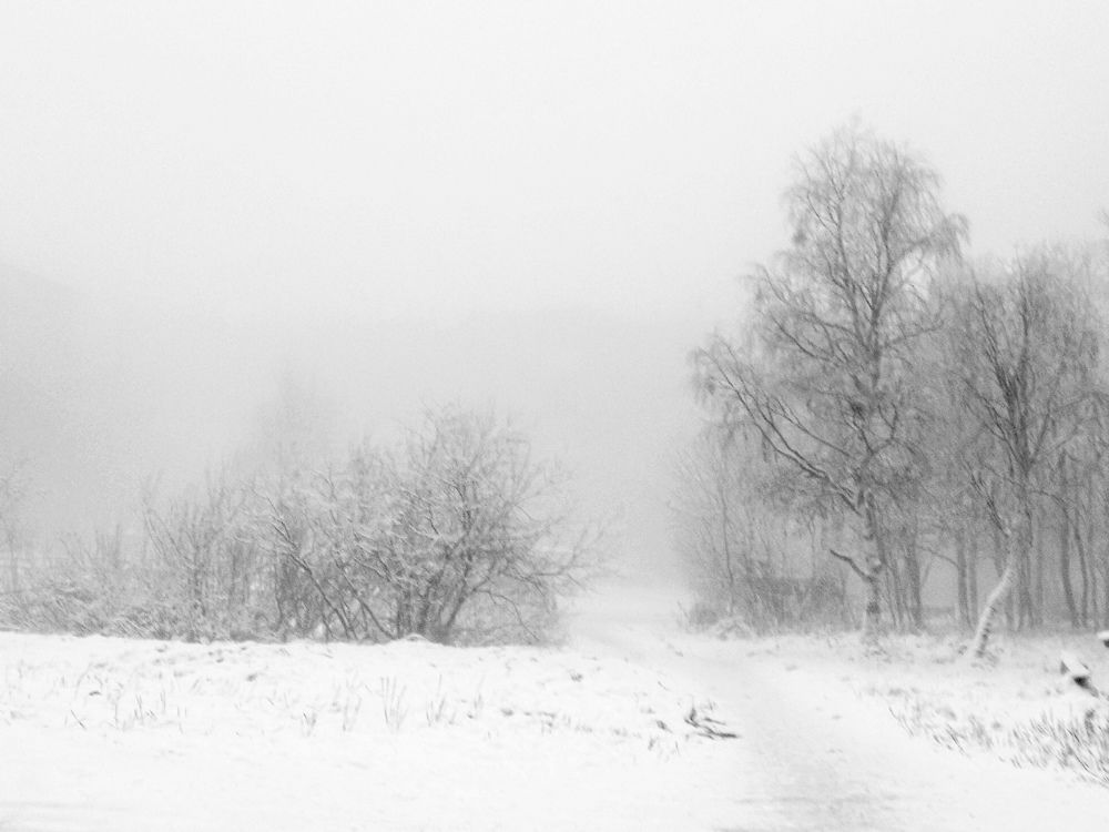 Photograph by Евгения Немчнова