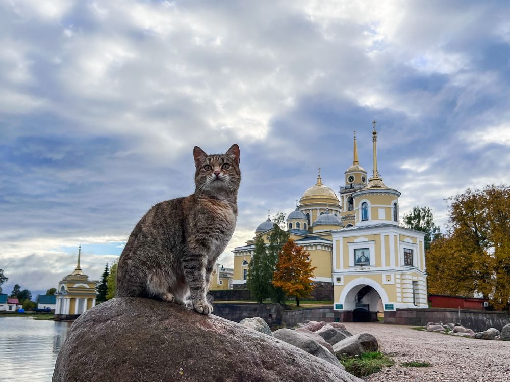 Photograph by Олеся Сергеевна