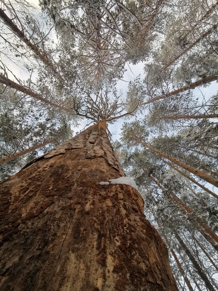 Photograph by Alex