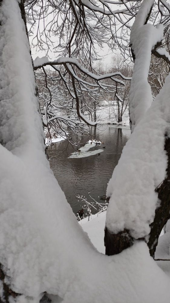 Photograph by Васильева Ирина