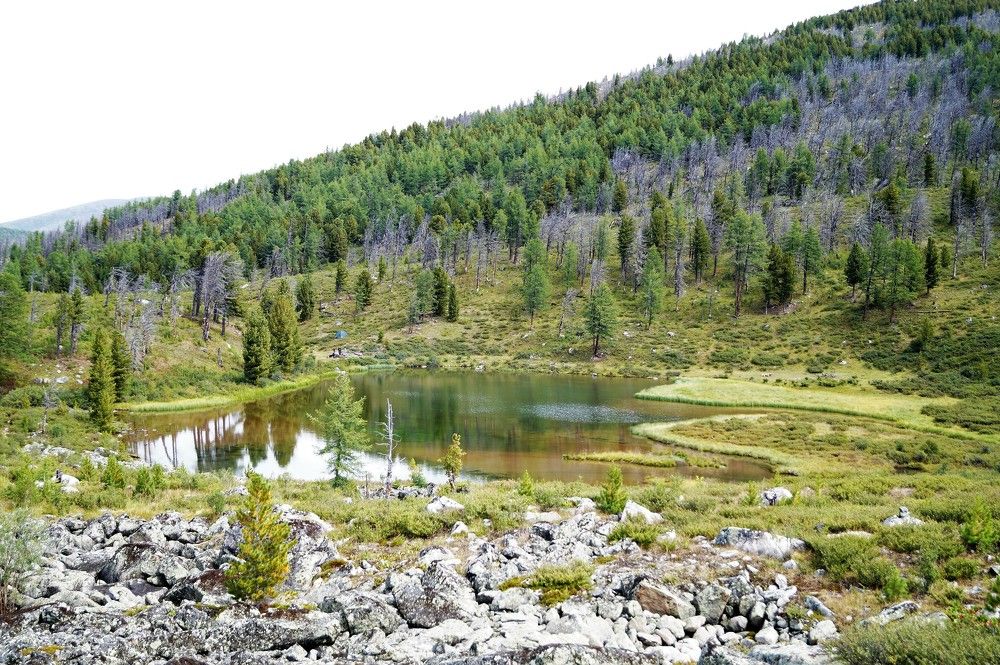 Фотография автора Сергей Камнев