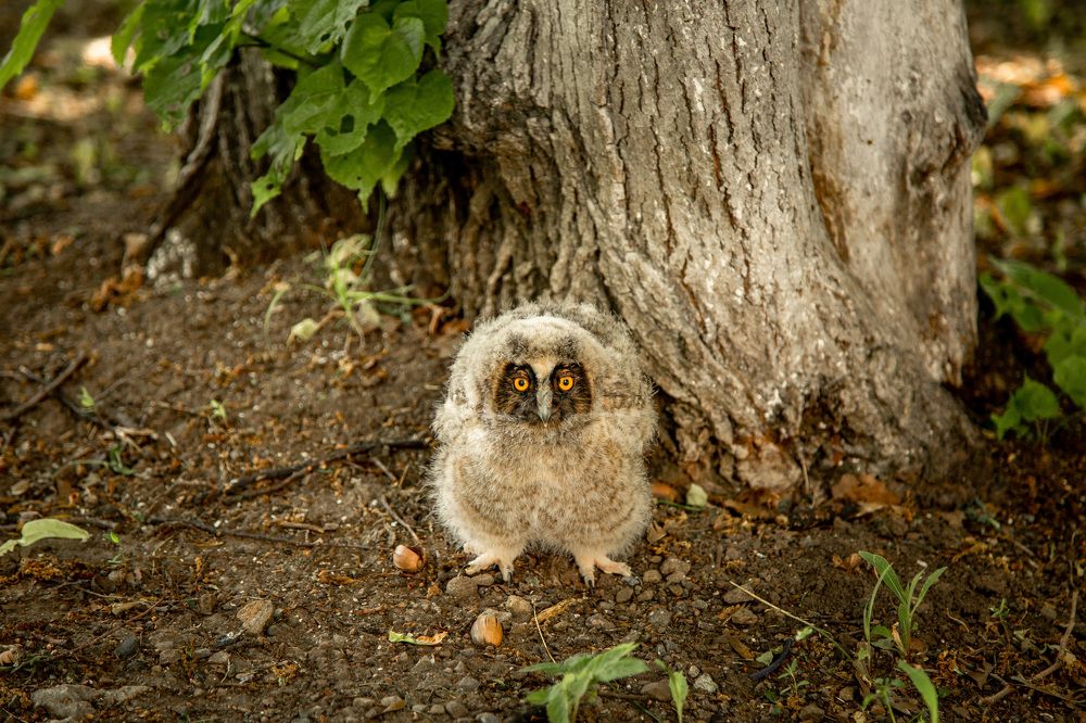Photograph by Виктория Бобылева