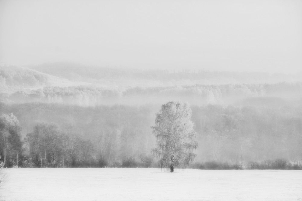 Photograph by Юлия Лушникова