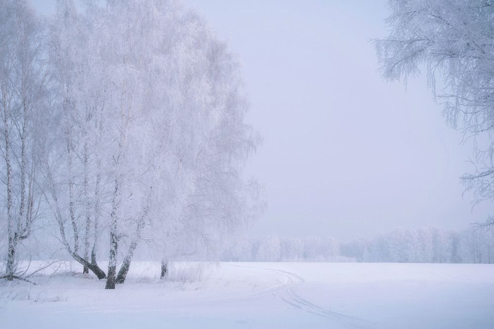 Photograph by Юлия Лушникова