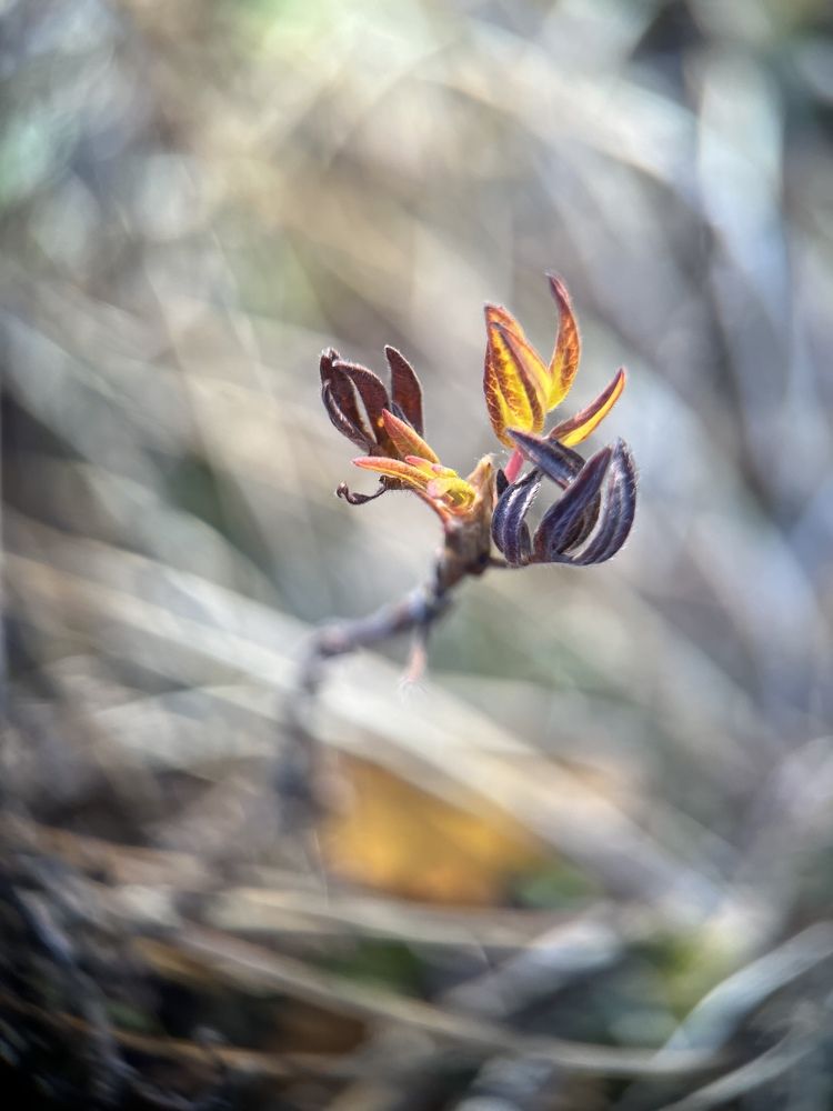 Photograph by Светлана Полякова