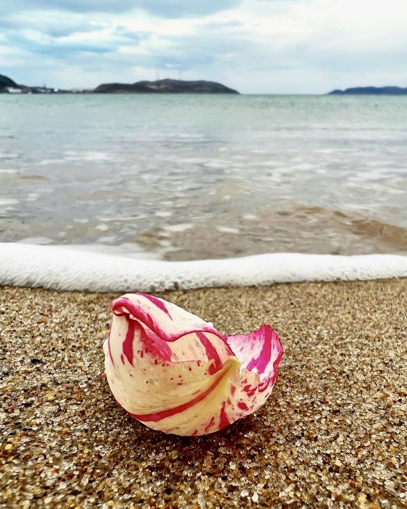 Photograph by Александра Акси