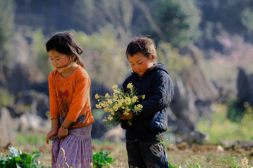 Фотография автора An Nguyen Quoc