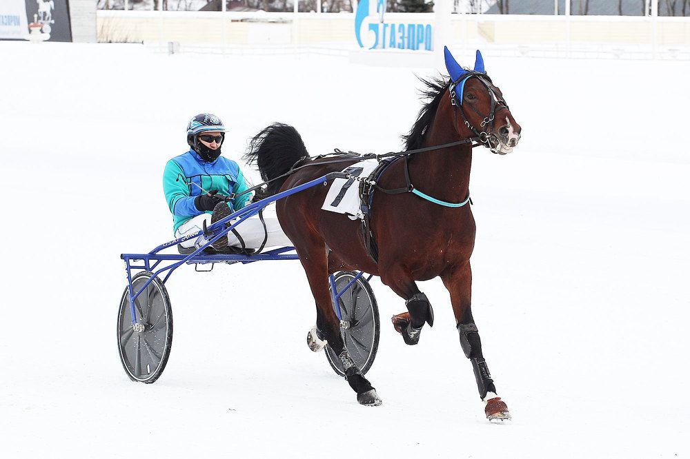 Photograph by Мороз Иван