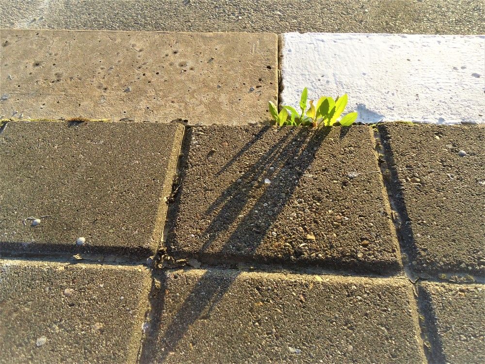 Photograph by Наталья Галай