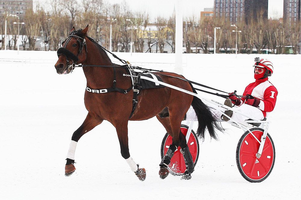 Photograph by Мороз Иван