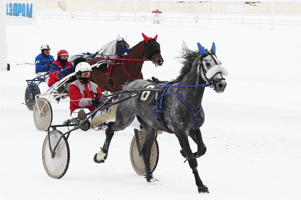 Photograph by Мороз Иван