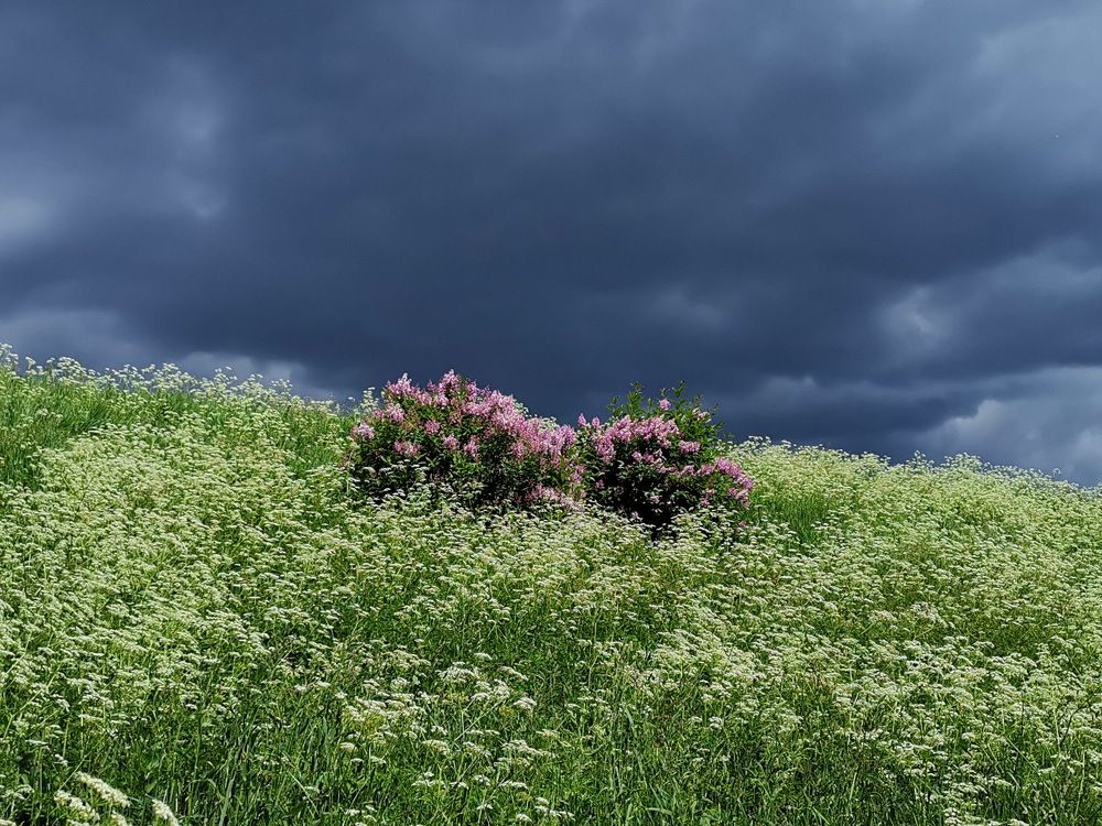 Photograph by Андрей Шевченко