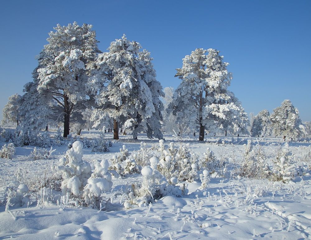 Photograph by Анатолий Васильев