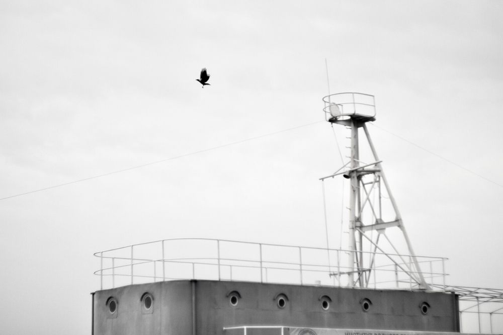 Photograph by Алена Евгеньевна