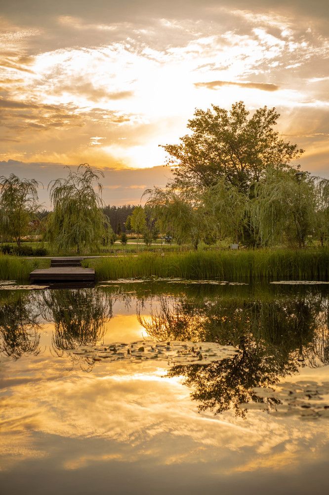 Photograph by Евгения Бочарова