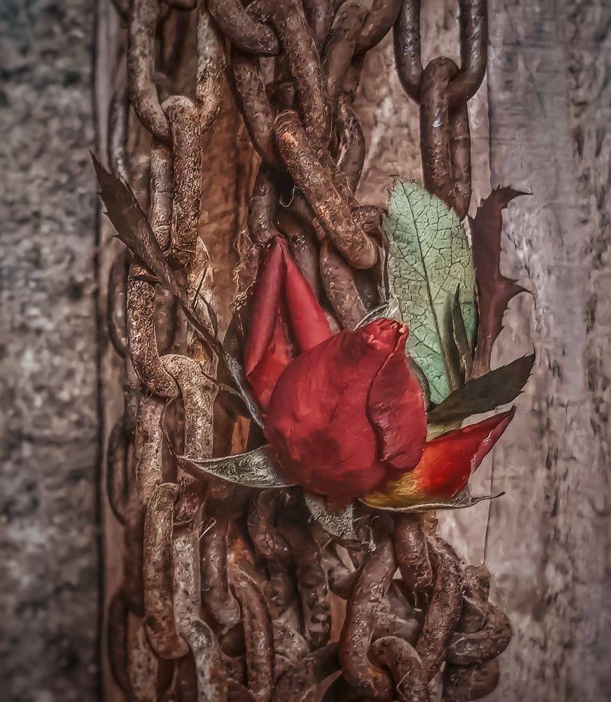 Photograph by Алексей Копылов