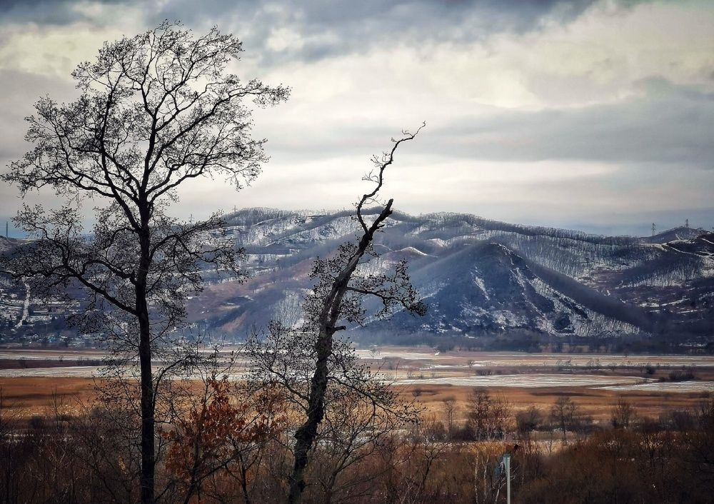 Photograph by Георгий Сергеев