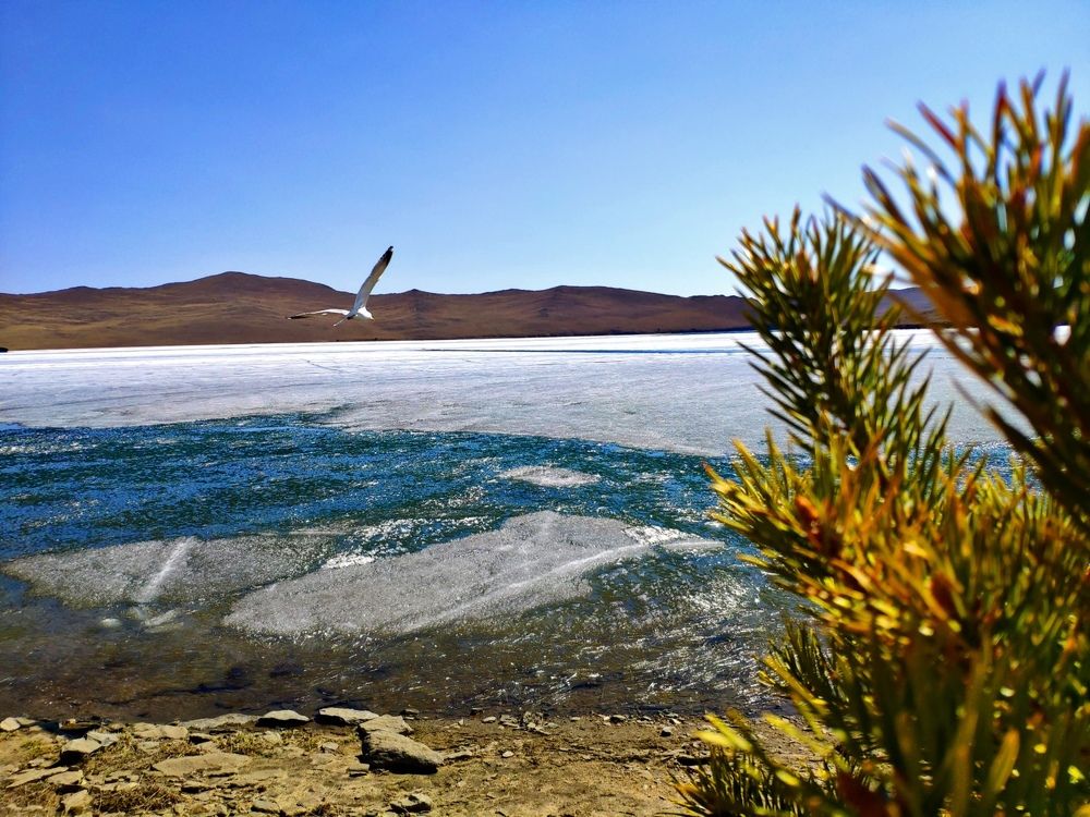 Photograph by Георгий Сергеев