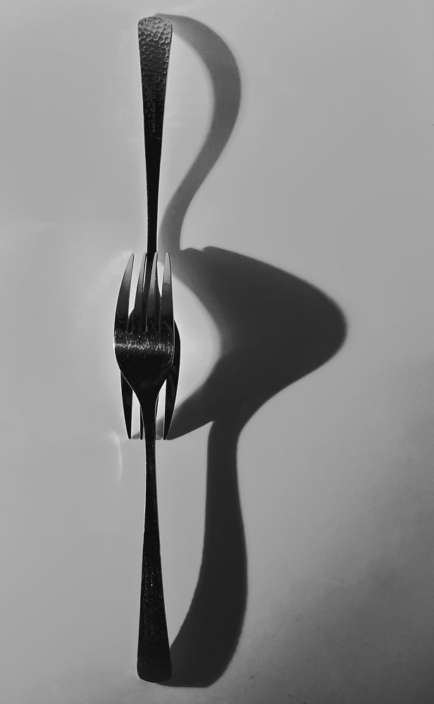 Photograph by Oxana Petlina