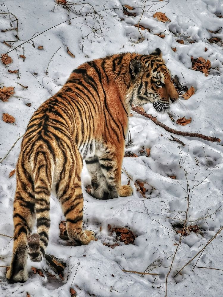 Photograph by Георгий Сергеев