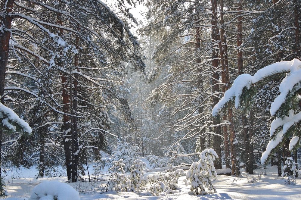 Photograph by Анна Восковых