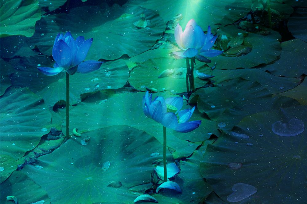 Photograph by Svetlana Victorovna Kibyakova