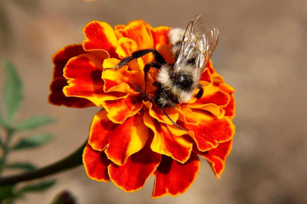 Photograph by салим насыпов