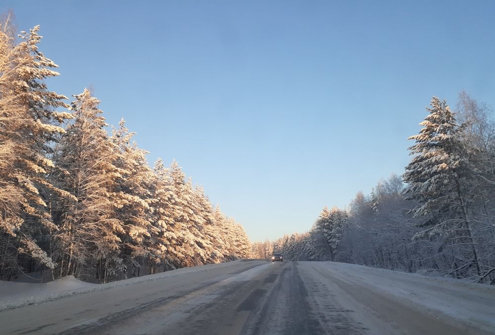 Photo #8499682