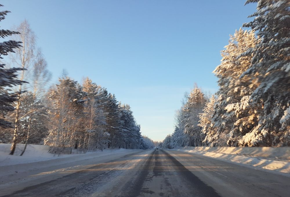 Photo #8499691