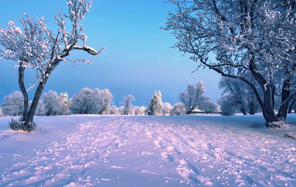 Photograph by Elena Wymann