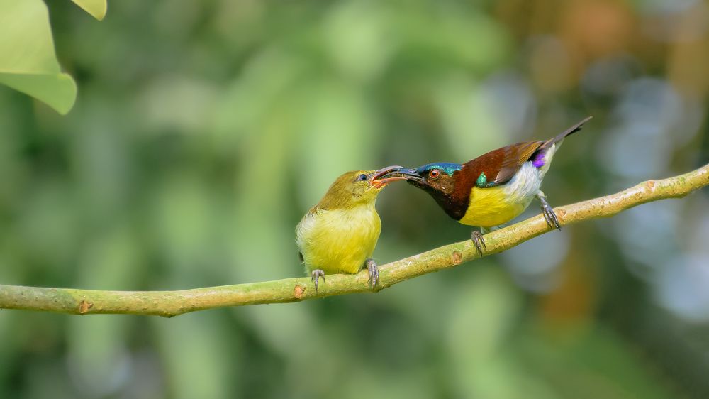 Photograph by Siddhant Manna