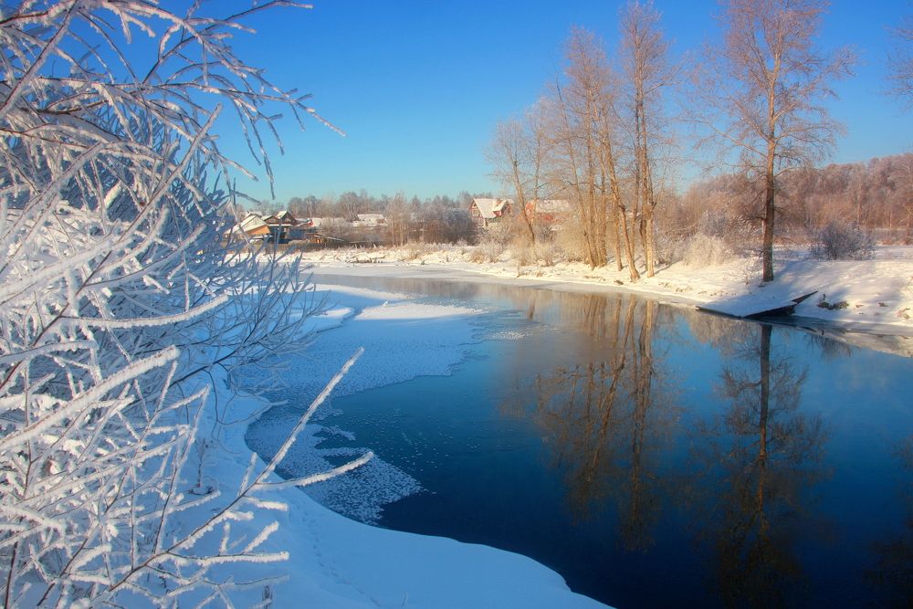 Фотография автора Nelya  Lysenko