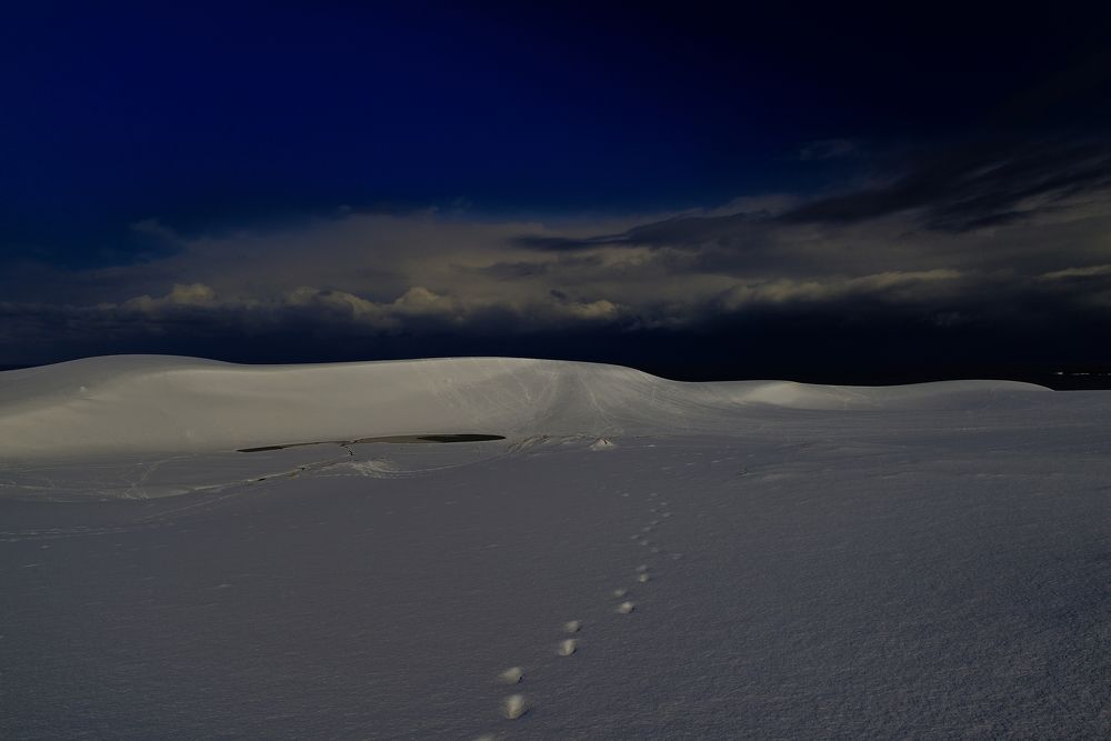 Photograph by Ohta Sigeki