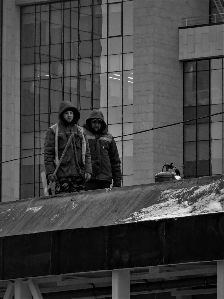 Photo #8499806