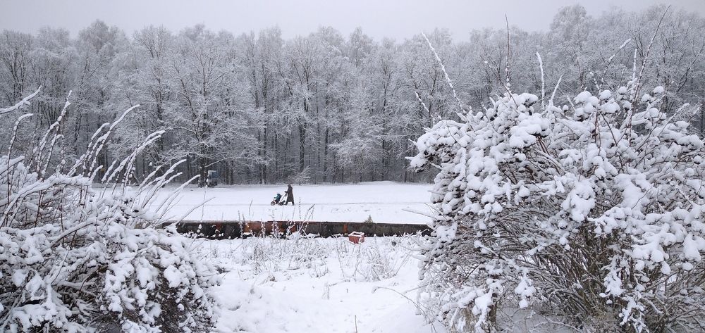 Photograph by Александр Хохлов