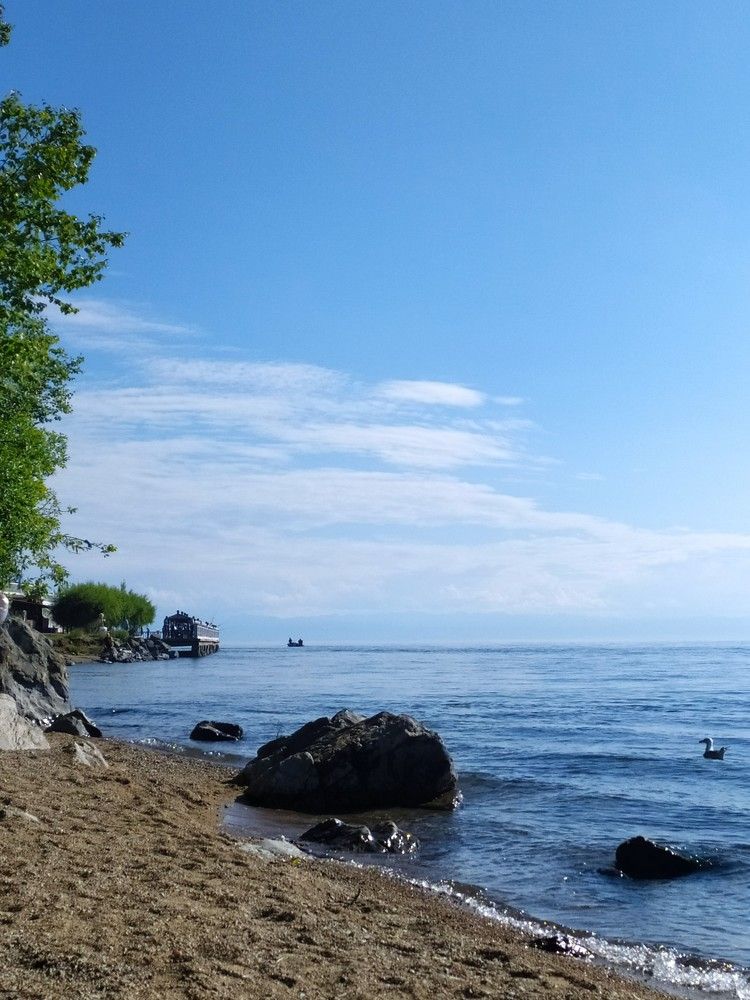 Фотография автора Елена Александрова