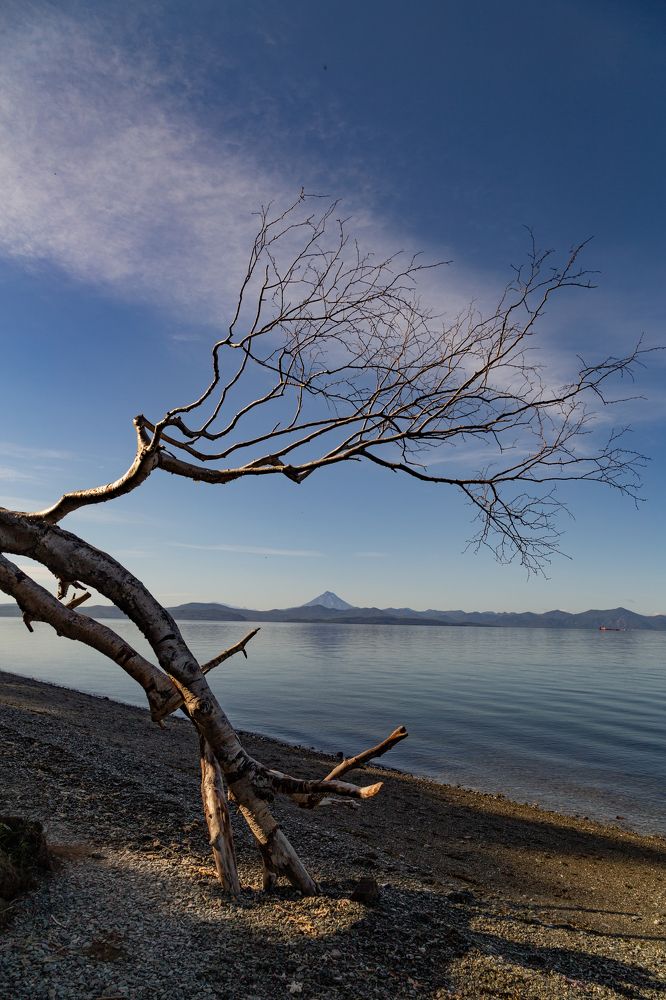 Photograph by Татьяна Глухова