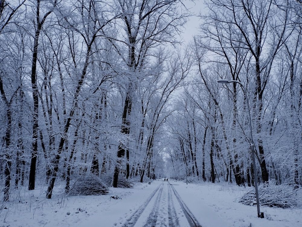 Photograph by Irina Dali