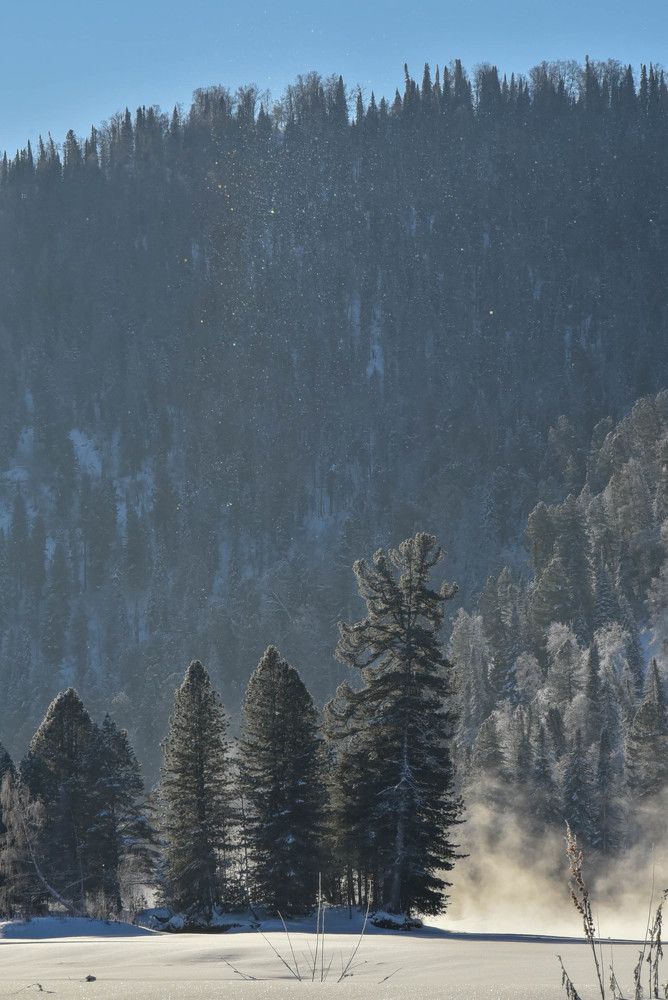 Посеребрённый морозом воздух)