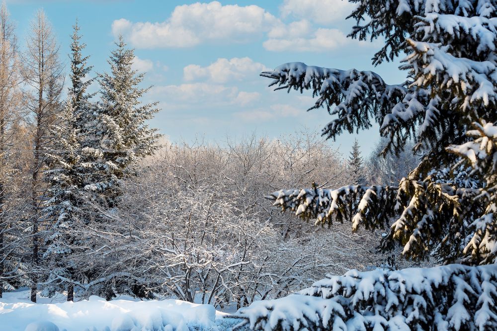 Photograph by Иван Логвинов