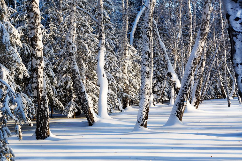 Photograph by Иван Логвинов