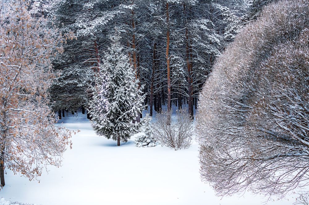 Сибирская зима.
