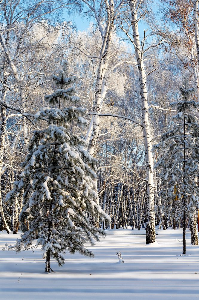 Photograph by Иван Логвинов