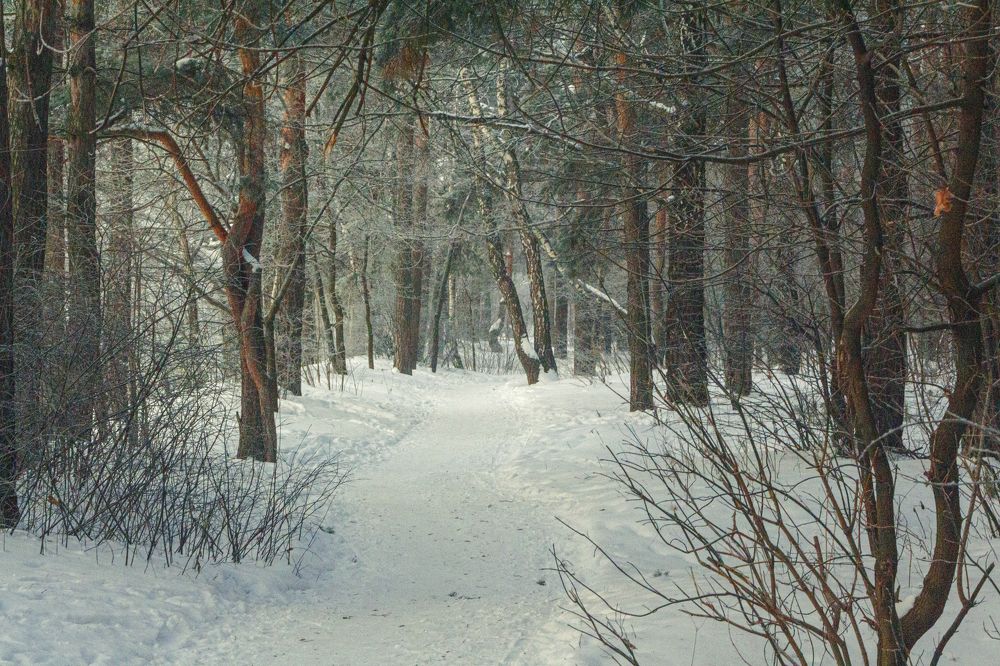 Фотография автора Дмитрий Нефёдов