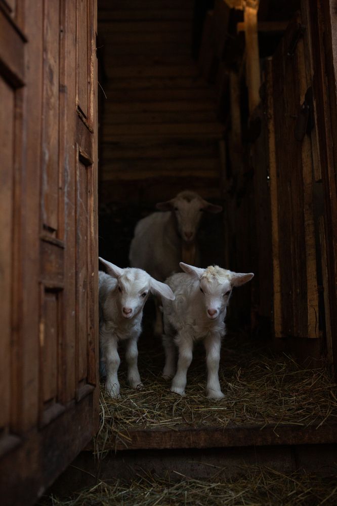 Photograph by Олеся Сергеевна